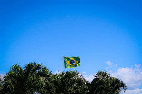iab standards violations in brazil|Brazil to incorporate ISSB standards into regulatory framework.